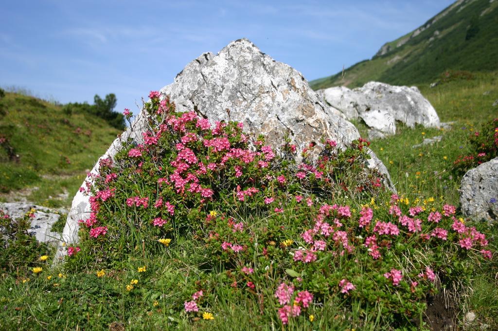 Gasthof "Zur Gemuetlichkeit" Bschlabs Bagian luar foto